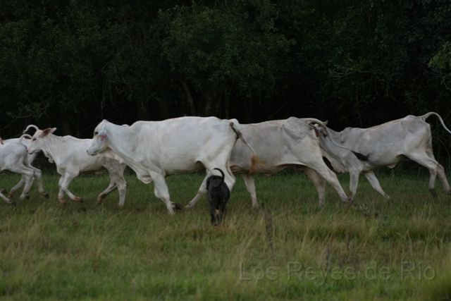 Februar 2013 071.JPG